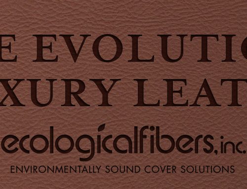 The Evolution of Luxury Leathers