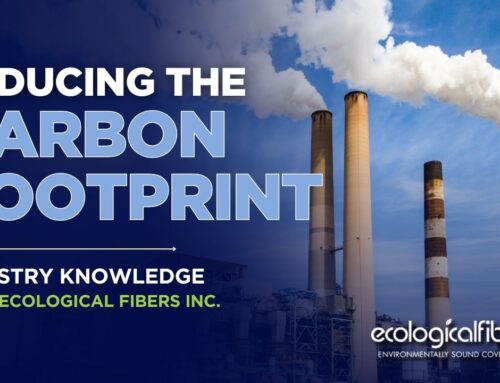 Reducing the Carbon Footprint in Paper Production for a Sustainable Future