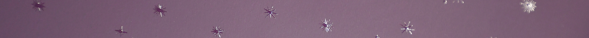 banner 2