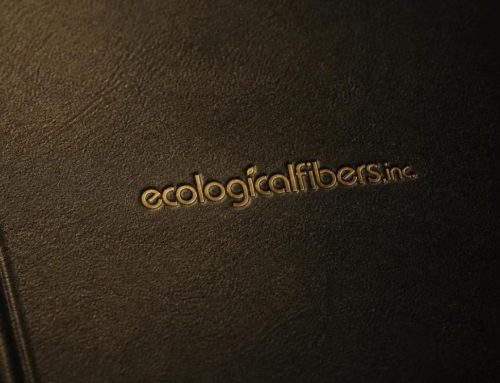 A Designer’s Guide to Foil Stamping on Book Covers